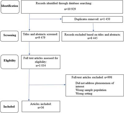 Effective Relationships Between Younger Caregivers and Older Care Recipients Across a Continuum of Formal Residential Care Settings: A Scoping Review and a Critical Analysis